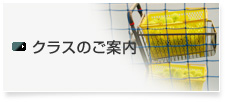 クラスのご案内